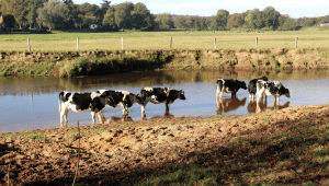 Boswachter Jos: klimaat trekt een lange neus naar de onbetwiste kampioen waterbeheer