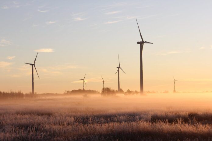 Windmolens Mist Ochtend landschap weer Foto door Laura Penwell: https://www.pexels.com/nl-nl/foto/foto-van-windmolens-tijdens-dageraad