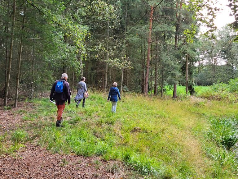 Boerenland wandeltocht: Ontdek Sallandse paden die normaal gesloten zijn